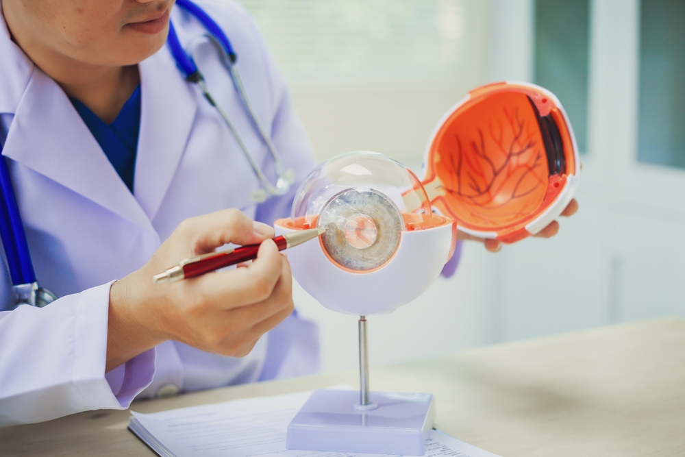 An,Ophthalmologist,Explains,Eye,Diseases,Using,An,Eye,Model,At