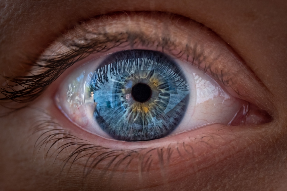 Beautiful,Female,Eye,In,Close-up,With,Light,Blue,Iris,Details